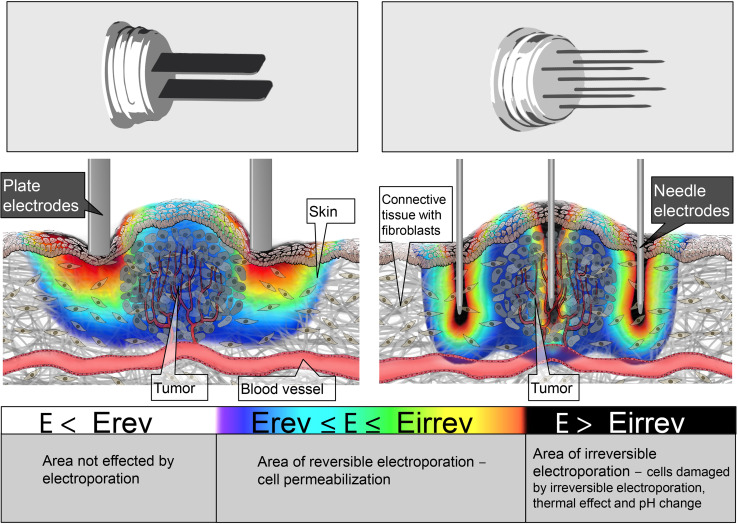 Fig. 2