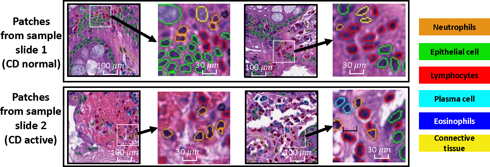 Figure 1: