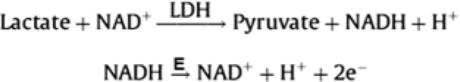 Fig. 2: