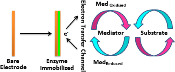 Fig. 5: