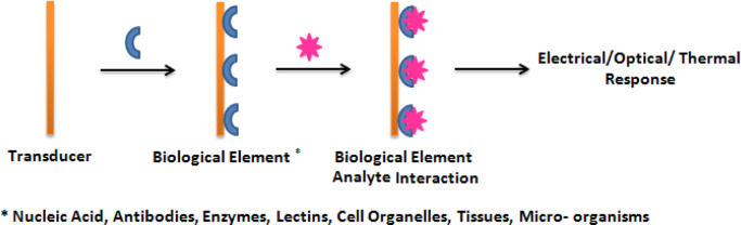 Fig. 3: