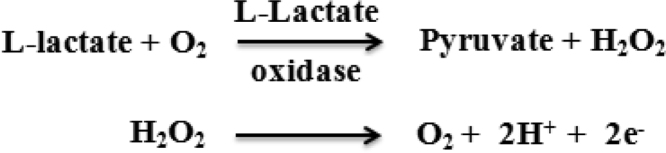 Fig. 1: