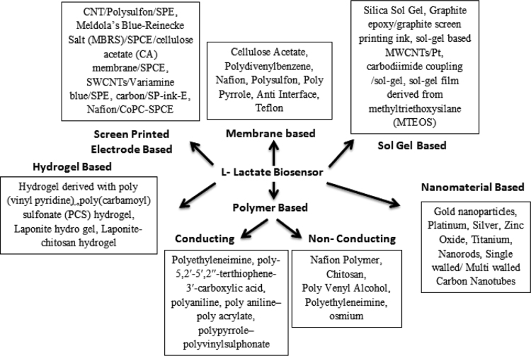 Fig. 6: