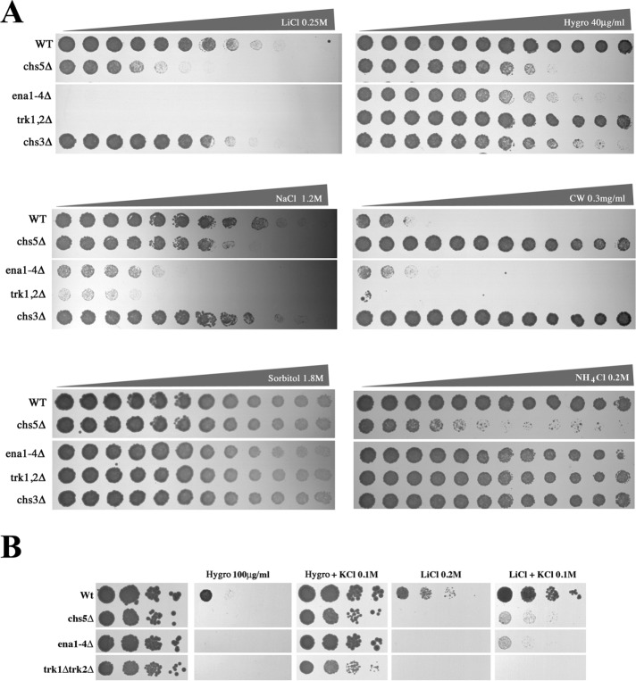 FIGURE 1: