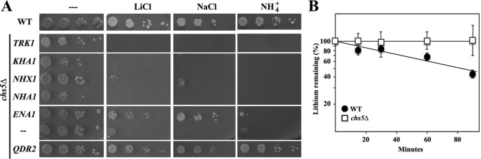 FIGURE 4: