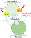 Fig 7