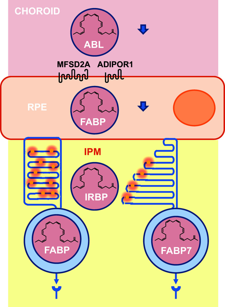 Fig. 4