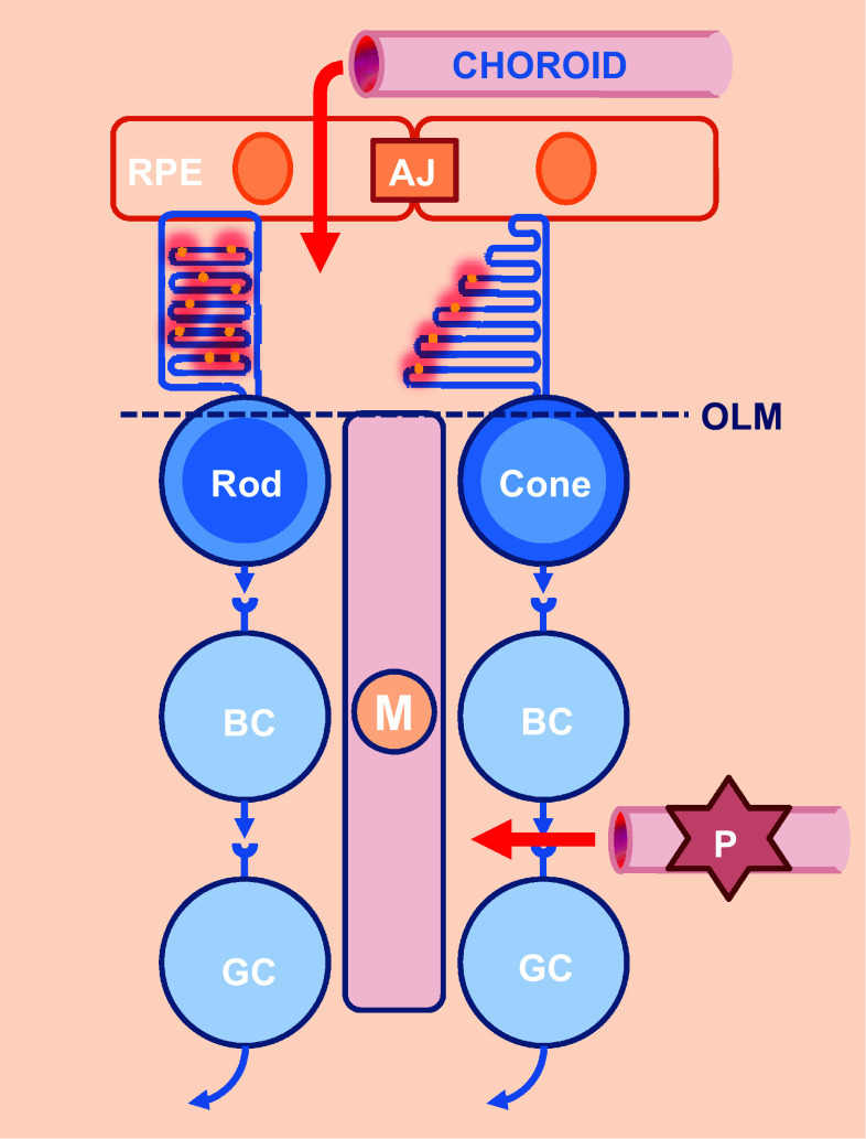 Fig. 3