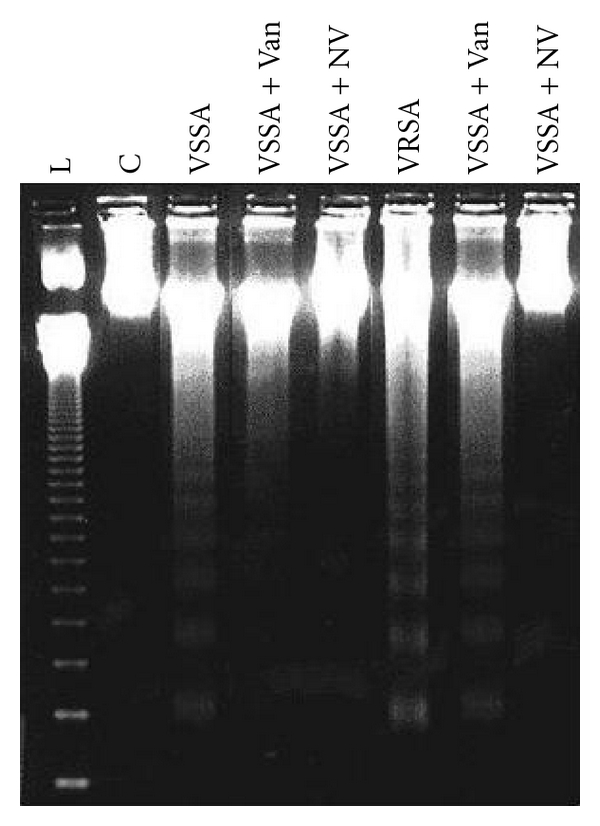 Figure 15