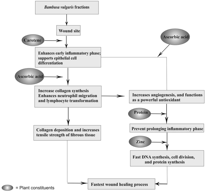 Fig. 3