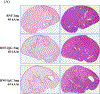 Fig 7.