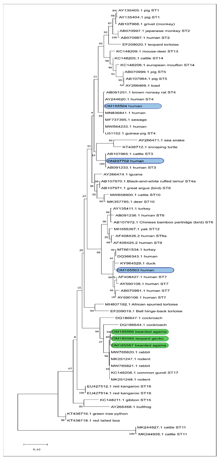 Figure 1