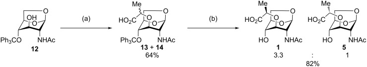 Scheme 3