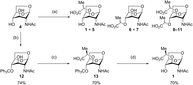 Scheme 2