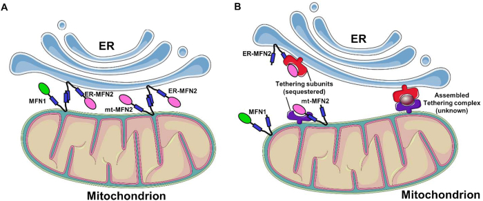 Fig. 3