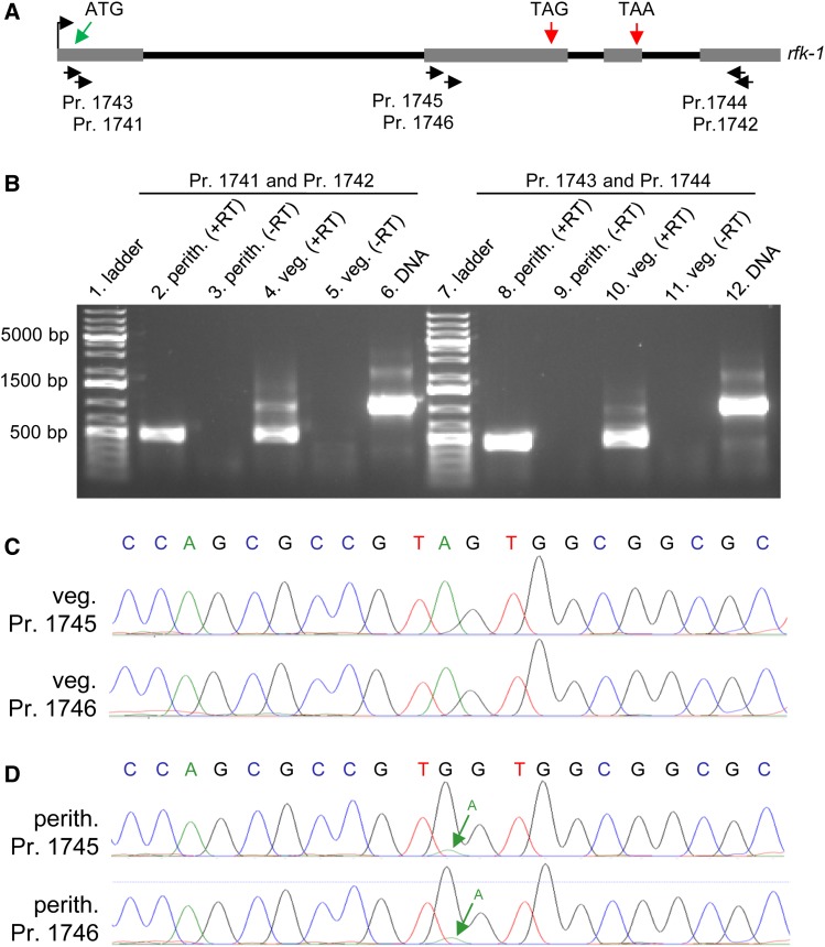 Figure 13