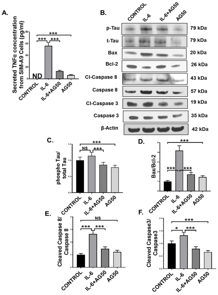 Figure 10