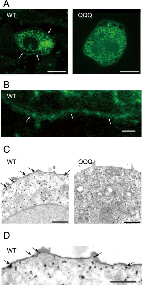 FIGURE 9.