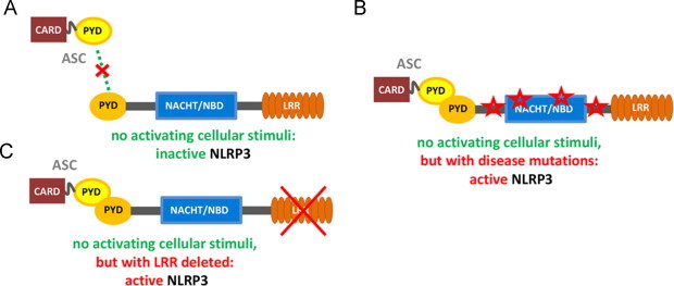 Fig. 2