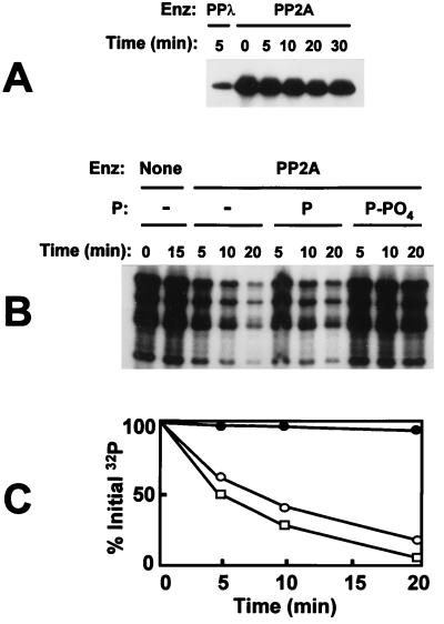 FIG. 5