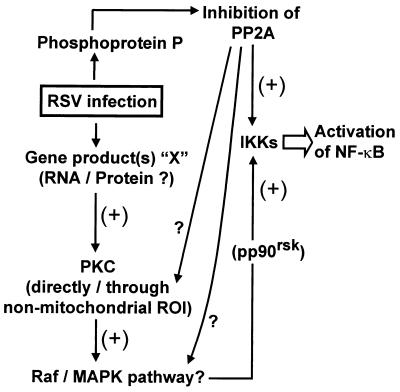 FIG. 7