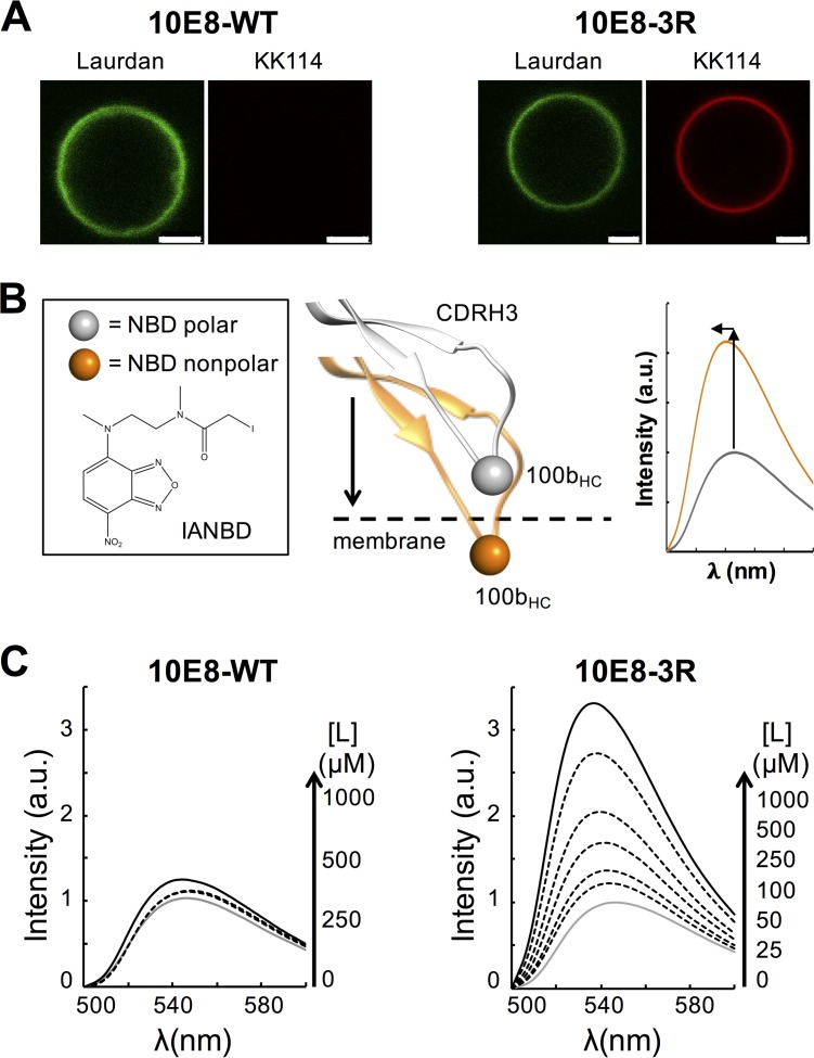 FIG 3