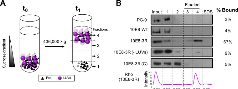 FIG 2