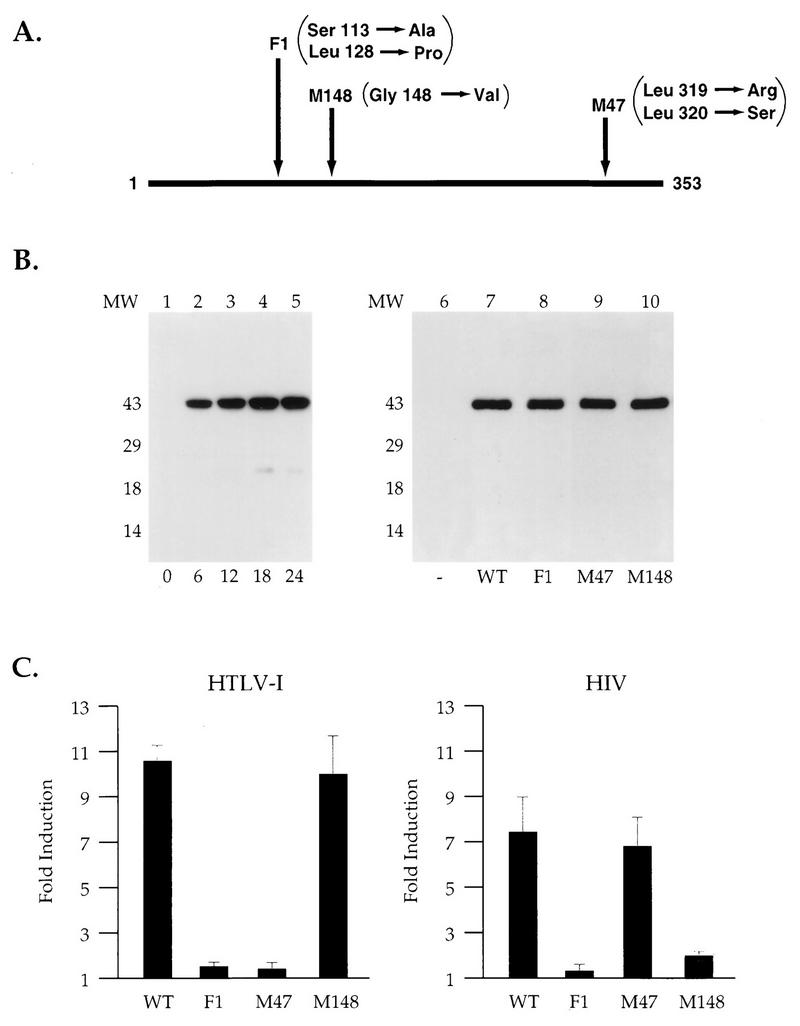 FIG. 1