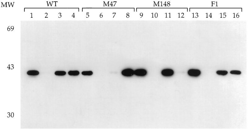 FIG. 5