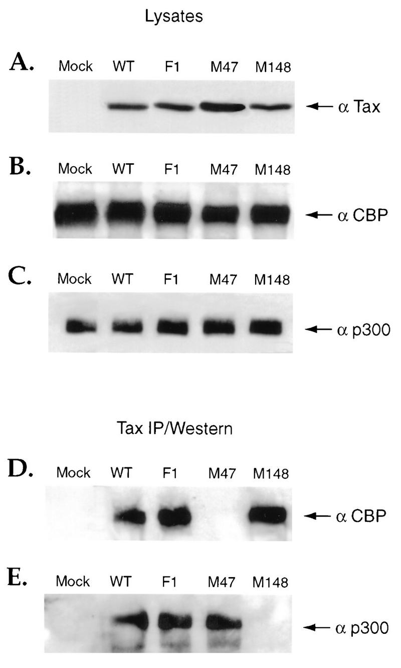 FIG. 6