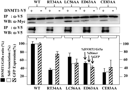 Figure 5.