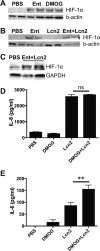 FIG 6