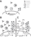 FIG 7