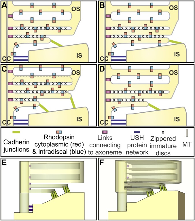 Fig. 7.