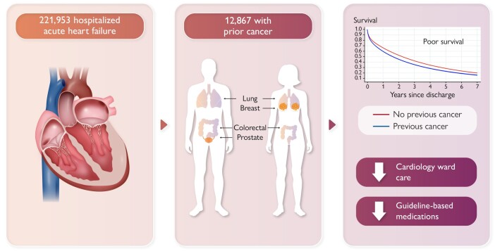 Graphical abstract