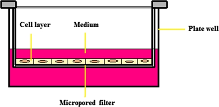 Fig. 1