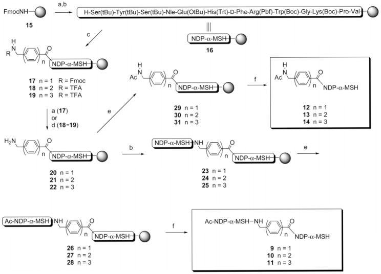 Scheme 1