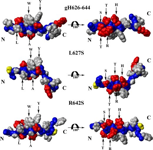 FIGURE 10.