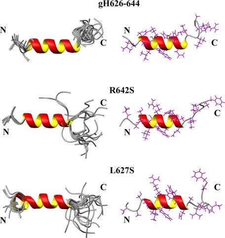 FIGURE 9.