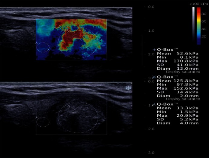 Fig. 7