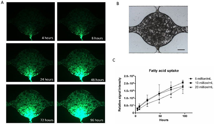 Figure 6.