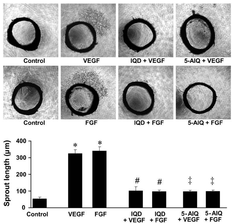 Fig.4