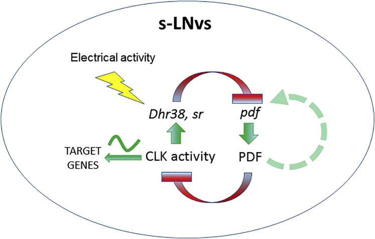 Figure 6