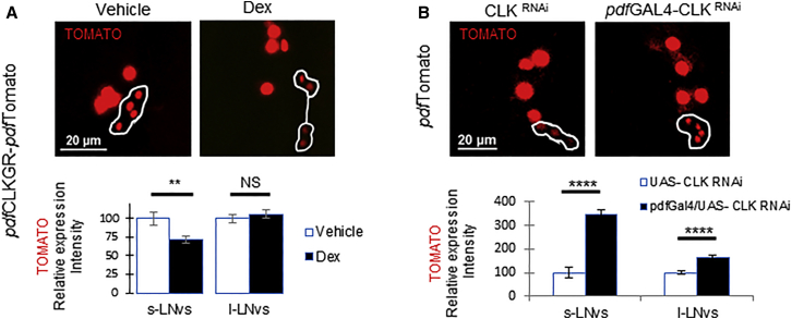 Figure 3