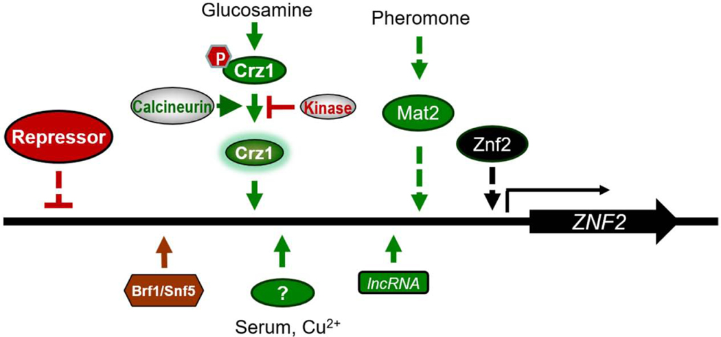 Figure 3.