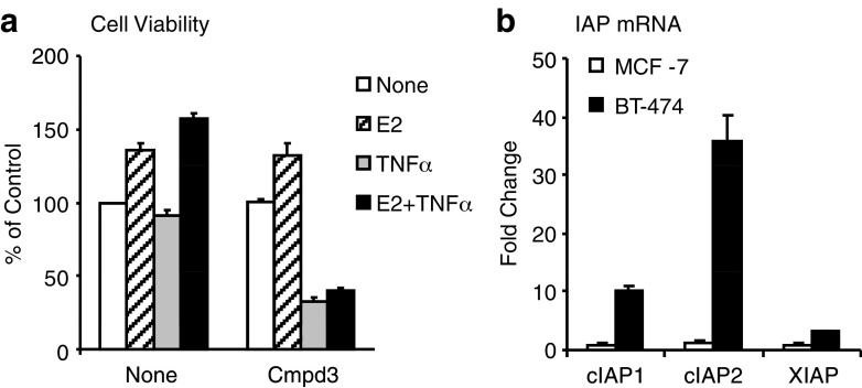 Fig. 6