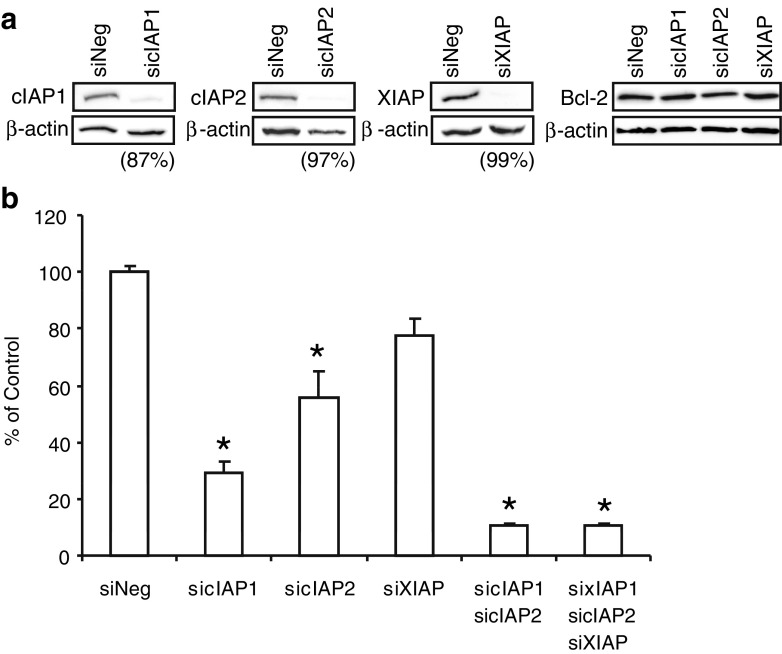 Fig. 7