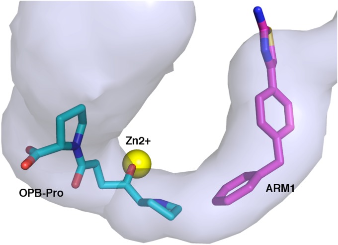 Fig. 8.