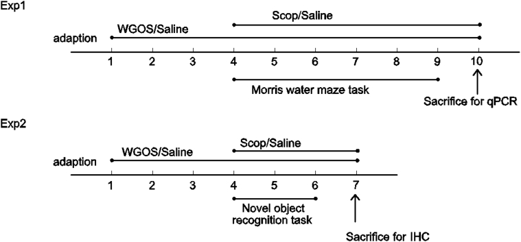 Fig. 1