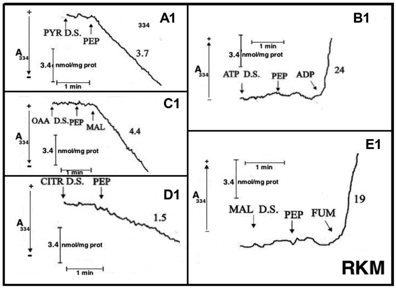 Figure 8